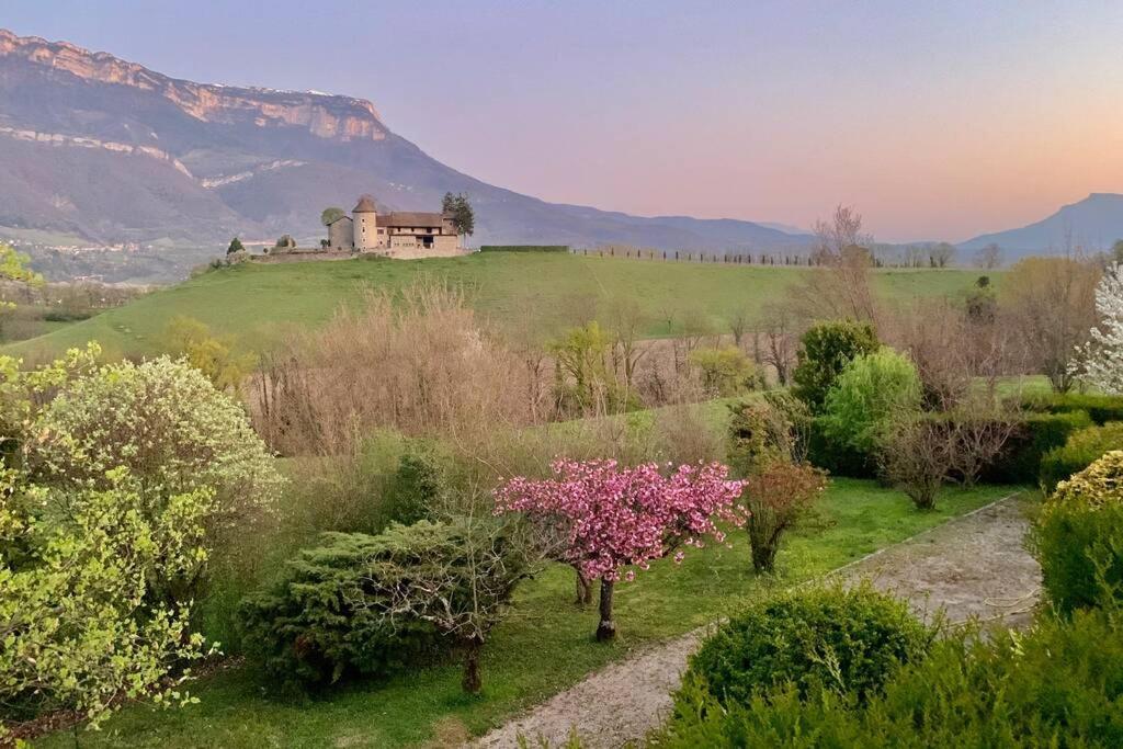Au Calme Avec Vue Magnifique A Saint Maximin Lägenhet Exteriör bild